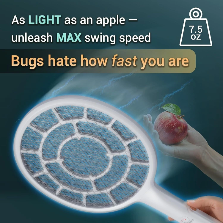 pal5.jpg